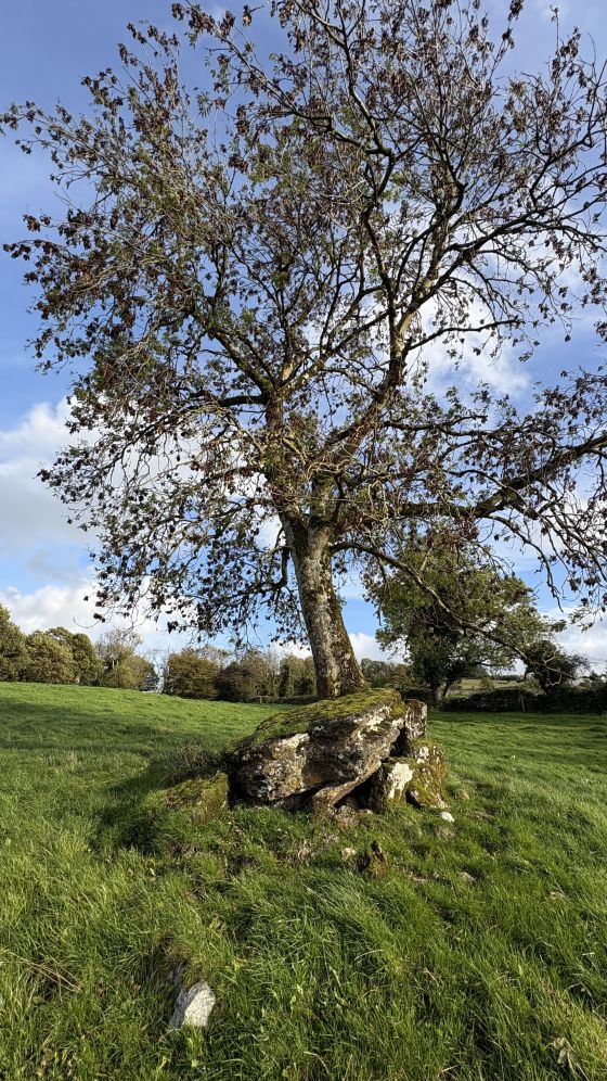 Marble Hill (north) (Portal Tomb)