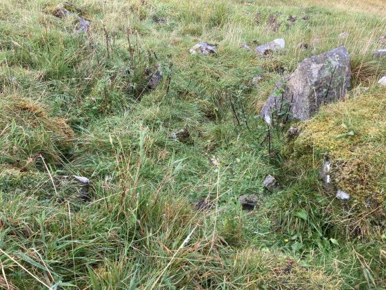 Knockan (Chambered Cairn)