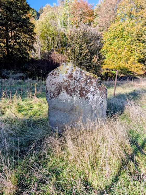 Dunkeld Park Stone (Standing Stone / Menhir)