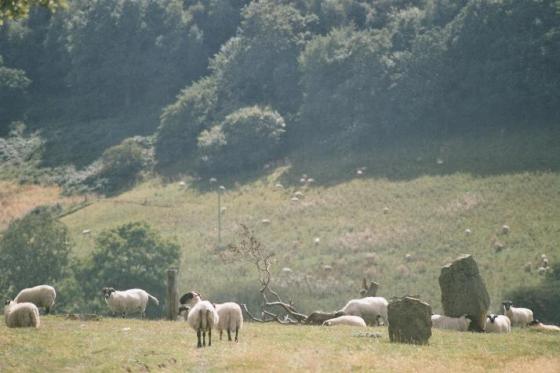 Blakey Topping (Stone Circle)