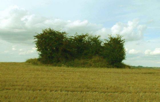 Lineover (Long Barrow)