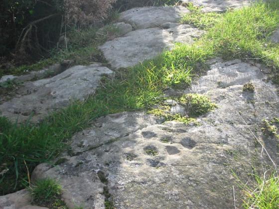 Torrs 3 (Cup and Ring Marks / Rock Art)