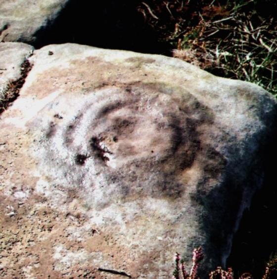 Fylingdales Moor (Cup and Ring Marks / Rock Art)