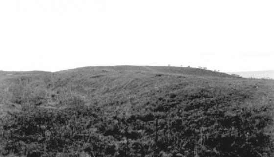 Kelsey Head Cliff Castle (Cliff Fort)
