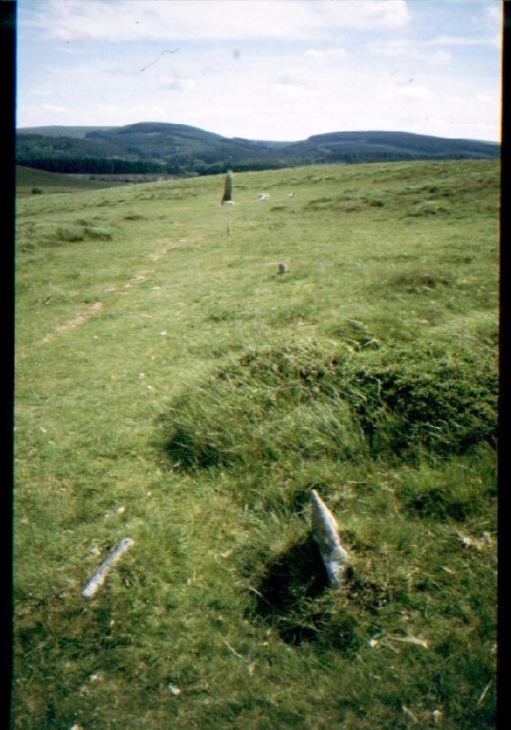 Shovel Down & The Long Stone (Multiple Stone Rows / Avenue)