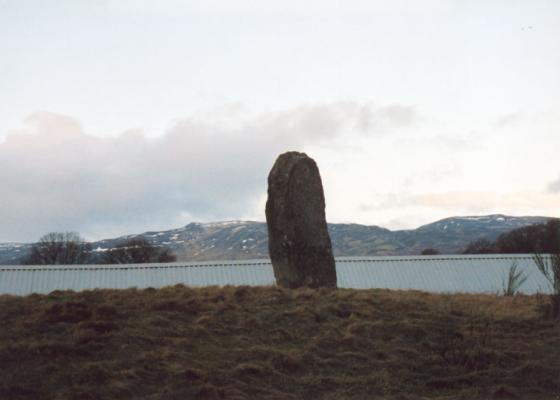 Auchingarrich Farm (Standing Stone / Menhir)