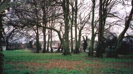 Oliver’s Battery (Ancient Village / Settlement / Misc. Earthwork)