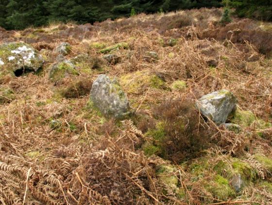 Shiels of Gartlea (Chambered Tomb)