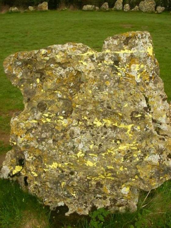 The Rollright Stones