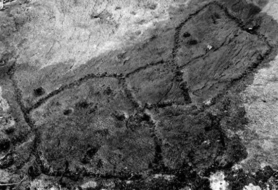 Woofa Bank Enclosure (Ancient Village / Settlement / Misc. Earthwork)