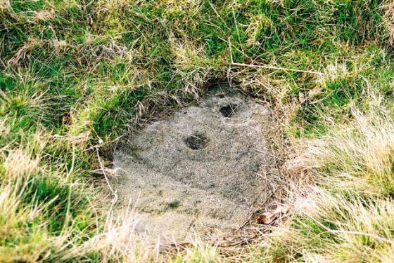 Baildon Moor