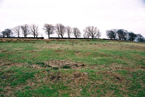 Baildon Moor