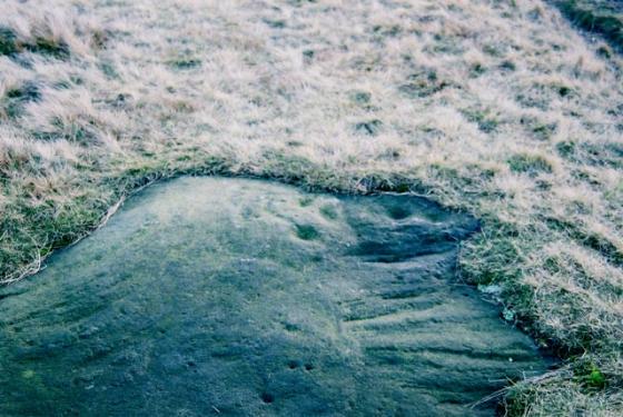 Baildon Moor