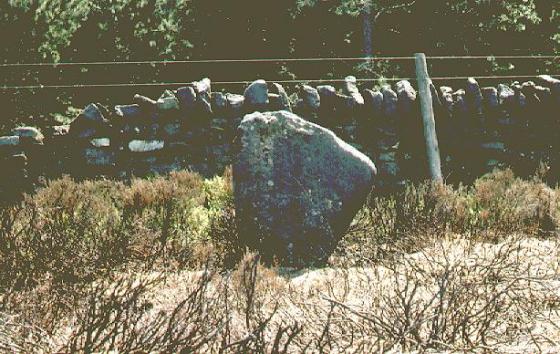 Thimbleby Moor Nine Stones (Stone Circle)