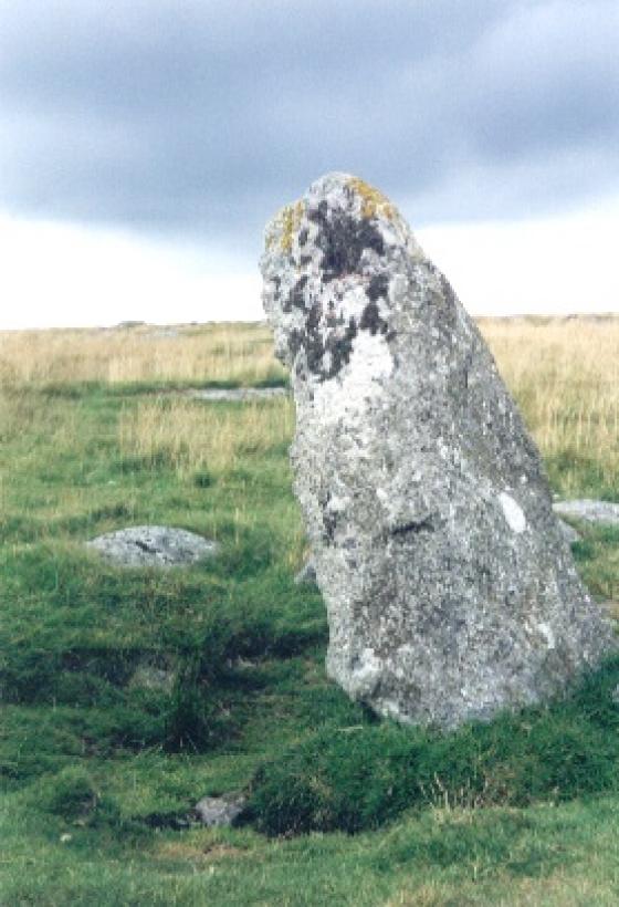 The Plague Market At Merrivale (Multiple Stone Rows / Avenue)