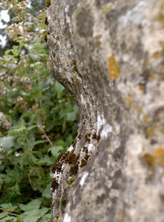 Lugbury (Long Barrow)