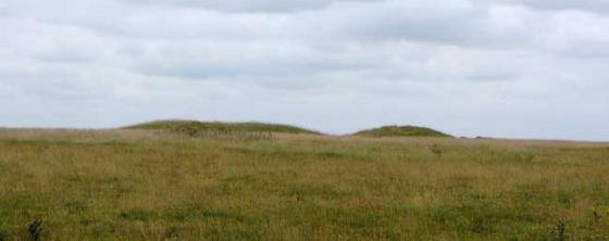 Windmill Hill (Causewayed Enclosure)