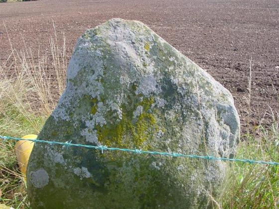 Earlston Standing Stone