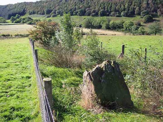 Blakey Topping (Stone Circle)