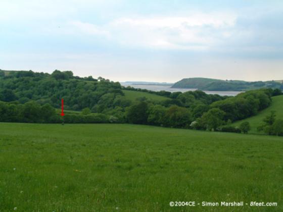 Is-coed (Standing Stone / Menhir)