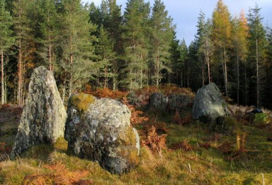 Bealachnancorr (Chambered Cairn)