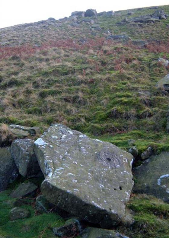 Osmonds Gill (Cup and Ring Marks / Rock Art)