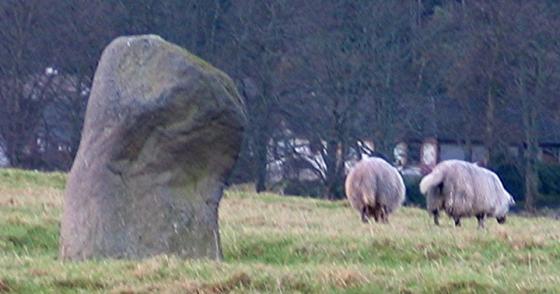 Broadgate Farm (Standing Stone / Menhir)
