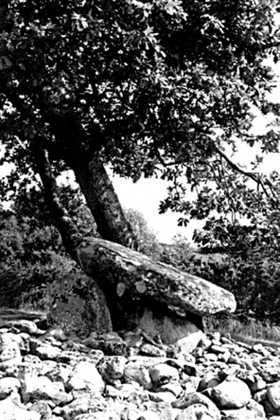 Dyffryn Ardudwy (Dolmen / Quoit / Cromlech)