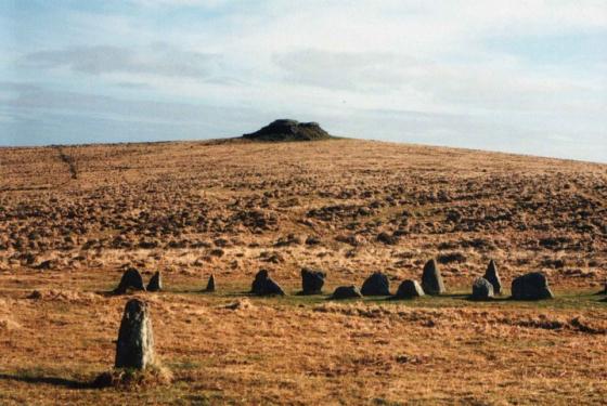 Shovel Down & The Long Stone (Multiple Stone Rows / Avenue)