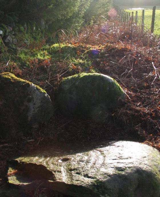 The Peace Stone (Cup and Ring Marks / Rock Art)