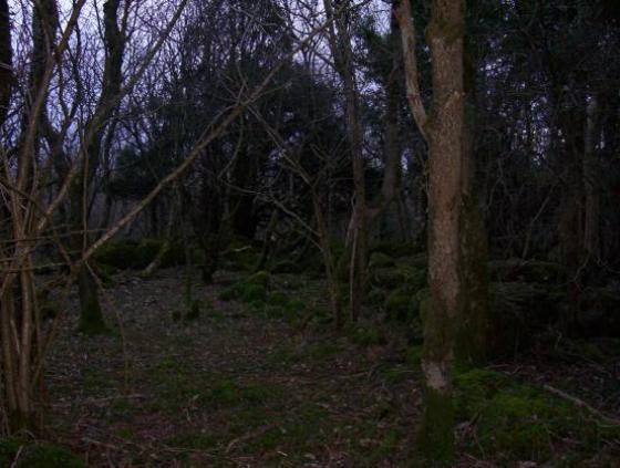 Warton Crag (Hillfort)