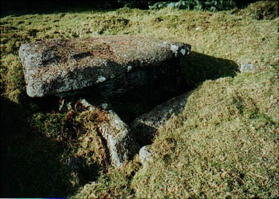 Bellever (Ancient Village / Settlement / Misc. Earthwork)