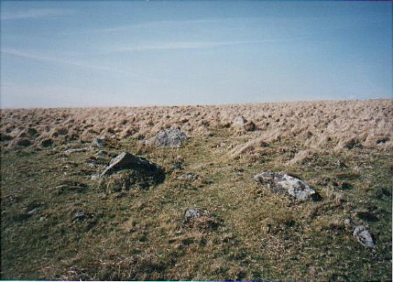 Langcombe Brook / Deadman’s Bottom (Cairn(s))