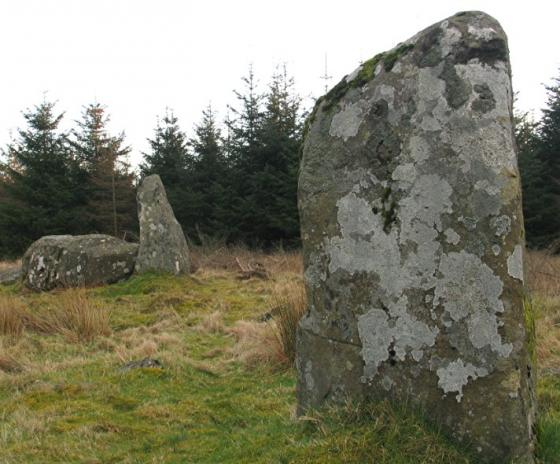 Loudon Wood (Stone Circle)