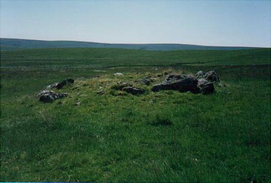 Royal Hill Cist