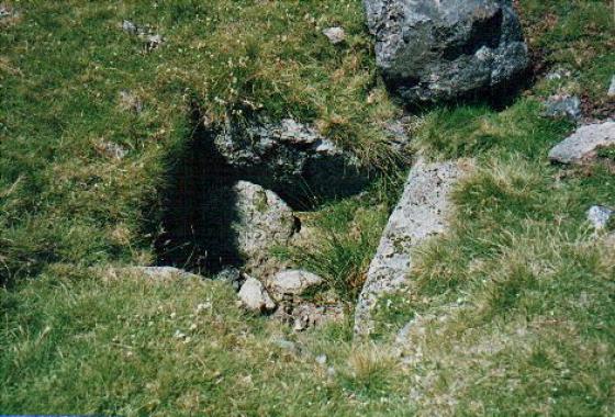 Royal Hill Cist