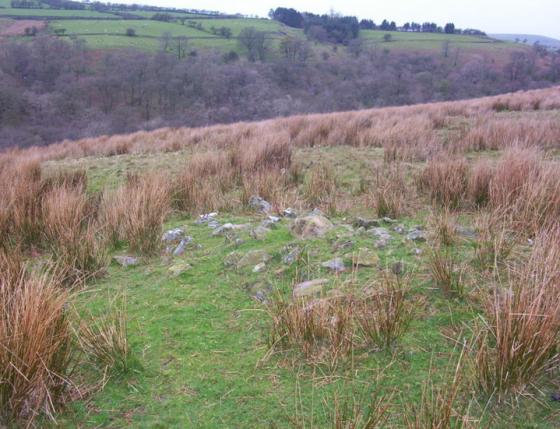 Tongue How (Ancient Village / Settlement / Misc. Earthwork)