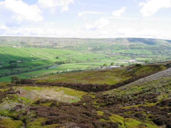 Maiden Castle (Grinton) (Ancient Village / Settlement / Misc. Earthwork)