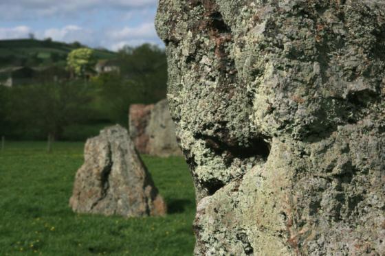 The Great Circle, North East Circle & Avenues (Stone Circle)