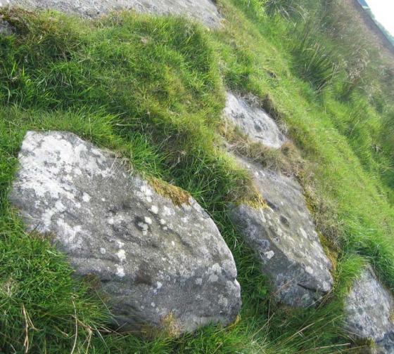 Millstone Burn (Cup and Ring Marks / Rock Art)