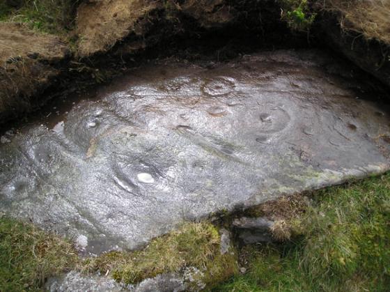 Craig Hill (Cup and Ring Marks / Rock Art)