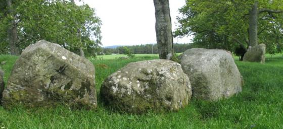 Dalcross Mains (Clava Cairn)