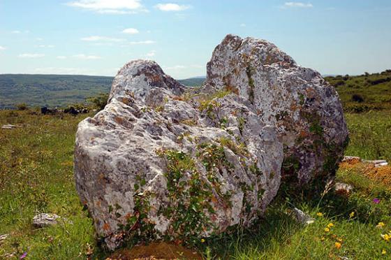 Parknabinnia (Cl. 67) (Wedge Tomb)
