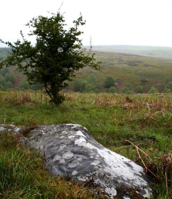 Millstone Burn (Cup and Ring Marks / Rock Art)