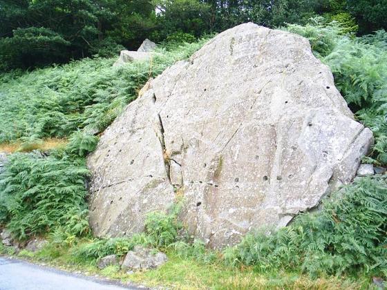 Copt Howe (Cup and Ring Marks / Rock Art)