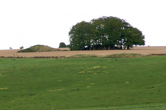 The Ridgeway