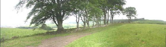 Tyrebagger (Stone Circle)