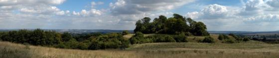 Wittenham Clumps and Castle Hill (Hillfort)