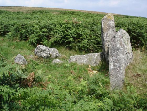 Cuckoo Ball (Chambered Tomb)