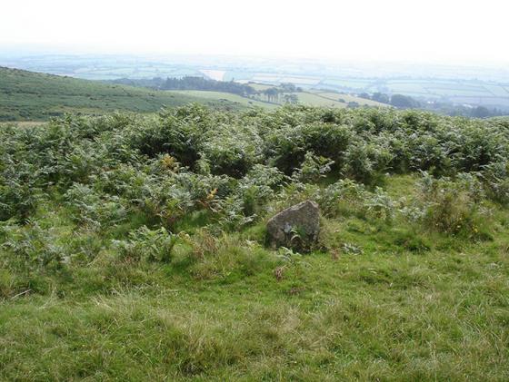 Butterdon Hill Chambered Tomb